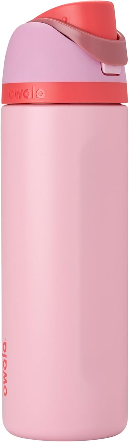 Owala FreeSip Insulated Stainless Steel Water Bottle with Straw for Sports, Travel, and School BPA-Free Sports Water Bottle, 24 oz, Dreamy Field